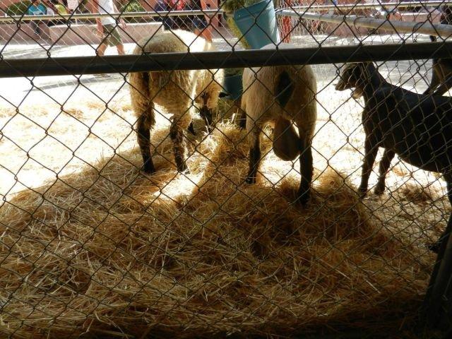 Подборка прикольных фото №3890