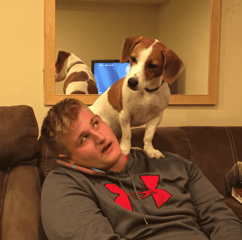 
        20+ питомцев, которые не&nbsp;могут существовать без&nbsp;своего человека    