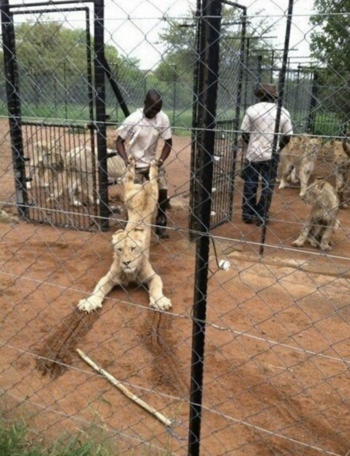 Подборка прикольных фото №3896