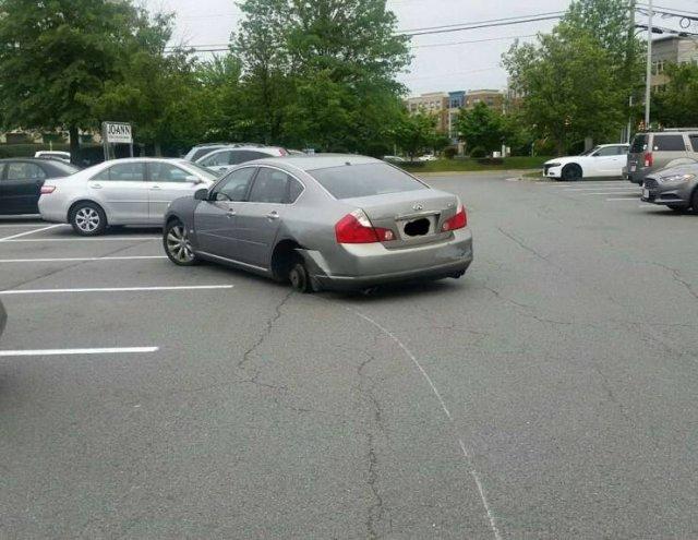 Подборка прикольных фото №3882