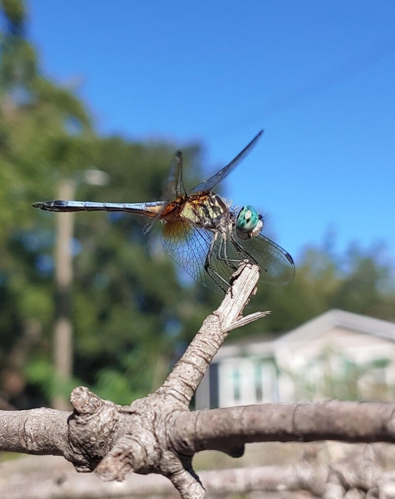 
        30&nbsp;снимков, запечатлевших простую красоту нашего мира    