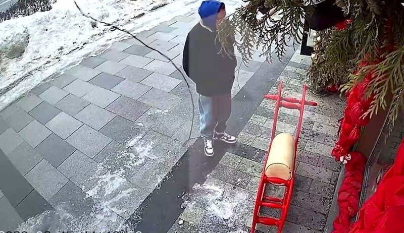 Парень украл деревянного коня в центре Москвы
Парень украл деревянного коня в центре Москвы