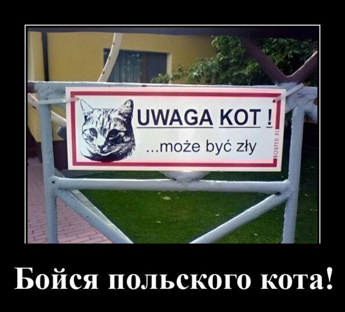 
			Демотиваторы №3786 (15 фото)