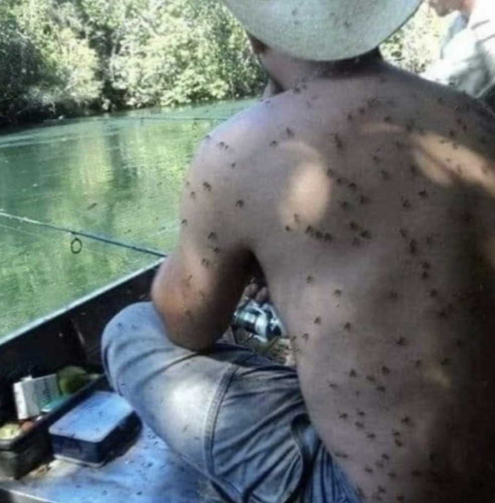 
        Люди с&nbsp;такой выдержкой, о&nbsp;которой говорят: не&nbsp;увидишь &mdash; не&nbsp;поверишь    