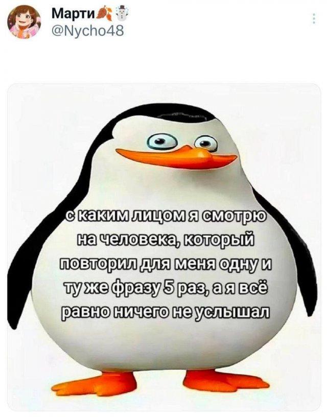 Подборка забавных твитов обо всем