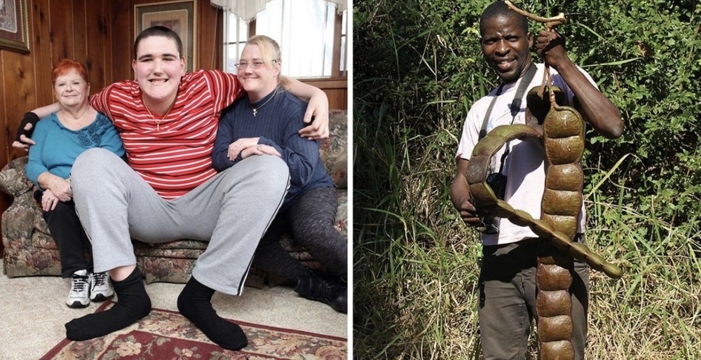 
        Реальные предметы и&nbsp;живых существ, впечатляющих своими огромными размерами    