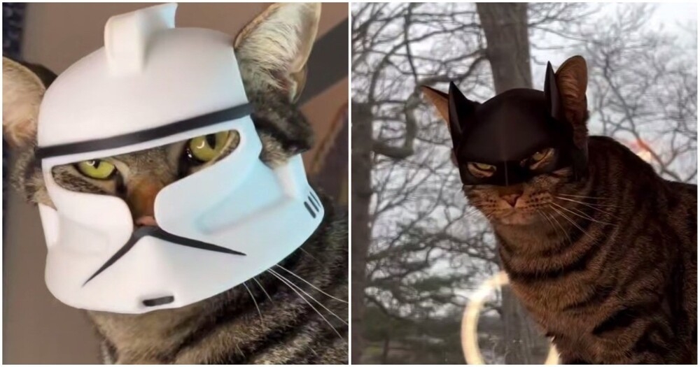 
        Парень печатает головные уборы для&nbsp;своего кота    