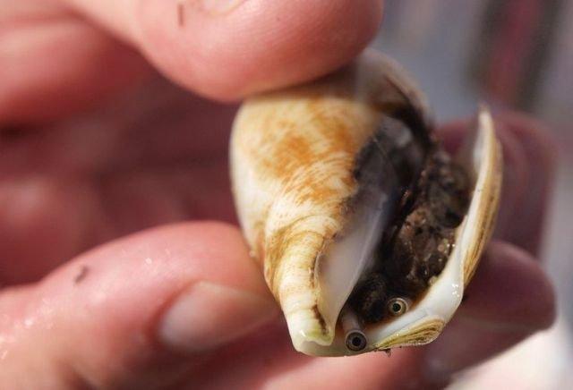 Подборка прикольных фото №3886