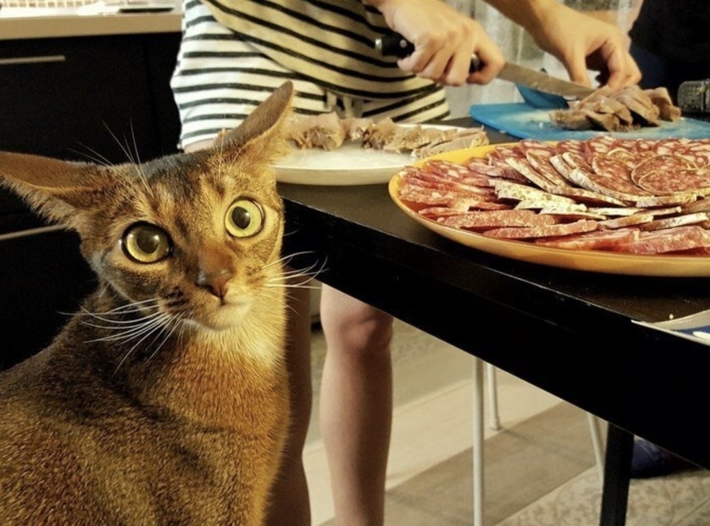 
        Люди с&nbsp;такой выдержкой, о&nbsp;которой говорят: не&nbsp;увидишь &mdash; не&nbsp;поверишь    