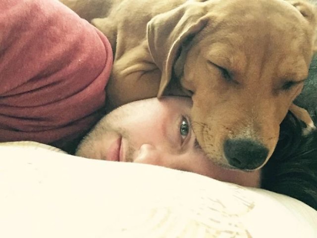 Животные, которым плевать на ваше личное пространство (20 фото)