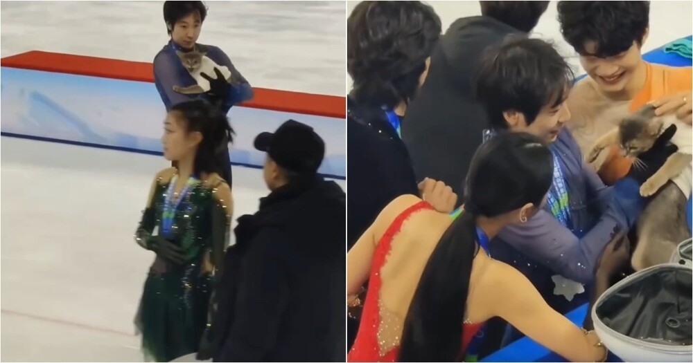 
        Китайский фигурист тренируется вместе с&nbsp;котом    