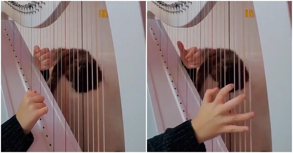 Хит 90-х на арфе
Хит 90-х на арфе