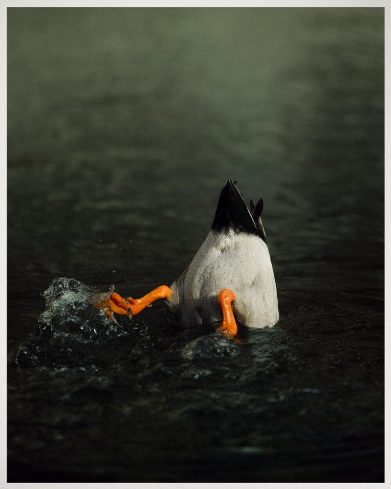 
        30&nbsp;снимков, запечатлевших простую красоту нашего мира    