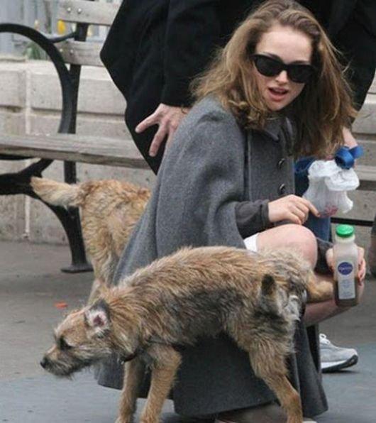 Подборка прикольных фото №3886