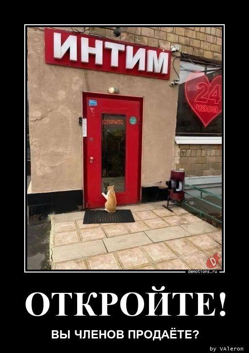 
			Демотиваторы №3786 (15 фото)