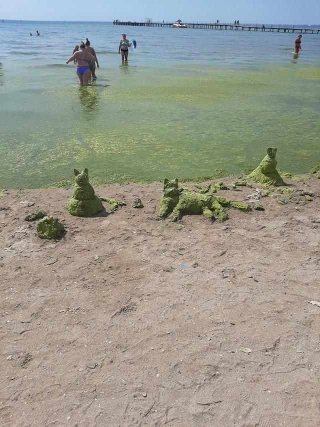 Подборка прикольных фото №3881