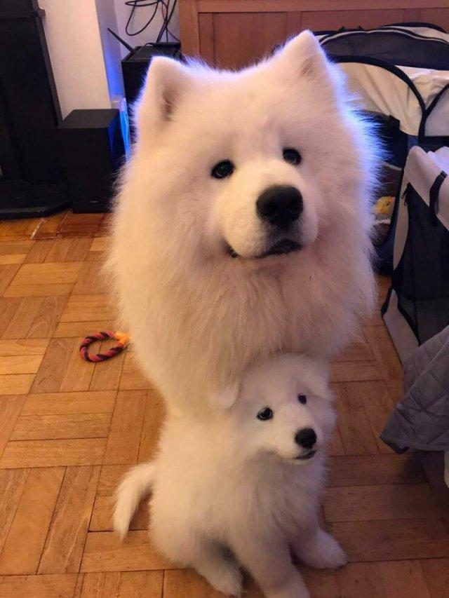 Подборка прикольных фото №3898