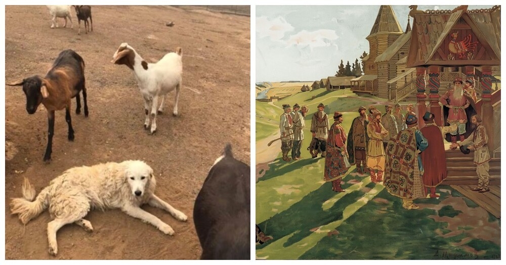 8 исторических фактов, в которые невозможно поверить, но они реальны
8 исторических фактов, в которые невозможно поверить, но они реальны