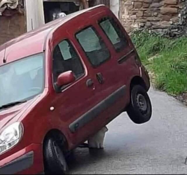 Подборка прикольных фото №3898