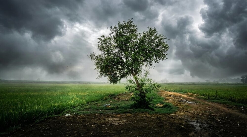 
        30&nbsp;снимков, запечатлевших простую красоту нашего мира    