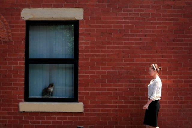 Подборка прикольных фото №3886