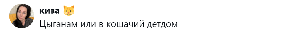 
        &laquo;Цыганам или&nbsp;в&nbsp;кошачий детдом&raquo;: пользователи назвали места, куда грозят отдать кота после переполнения чаши терпения    