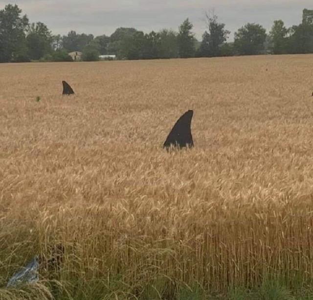 Подборка прикольных фото №3893