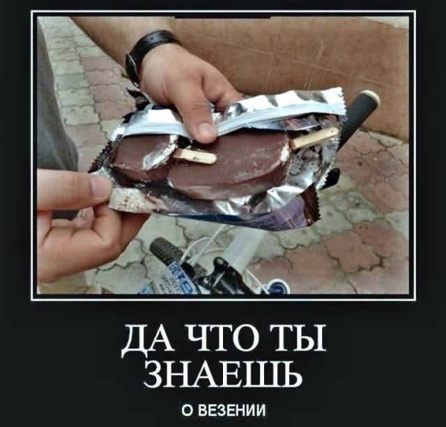 
			Демотиваторы №3784 (15 фото)