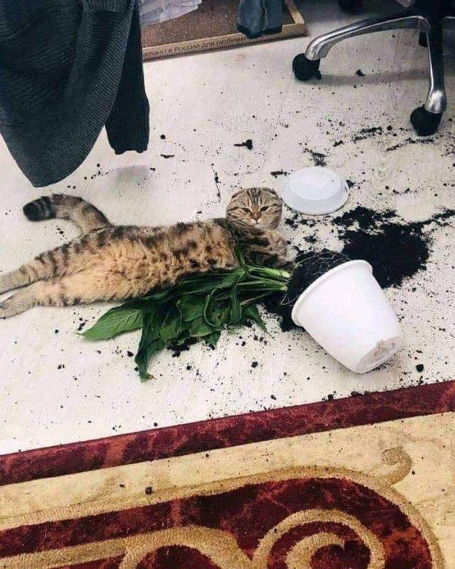 Подборка прикольных фото №3897