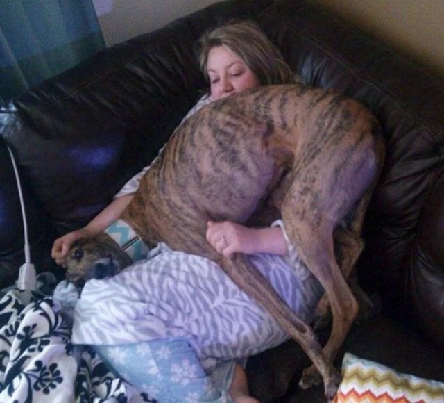 Животные, которым плевать на ваше личное пространство (20 фото)