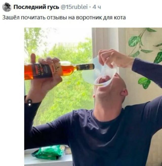 Подборка забавных твитов обо всем