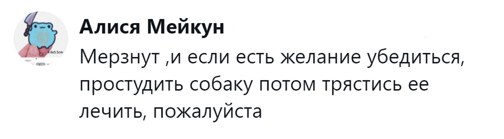 Собачники и не только обсуждают собачий дресс-код, который эволюционировал от свободы к пуховику
Собачники и не только обсуждают собачий дресс-код, который эволюционировал от свободы к пуховику