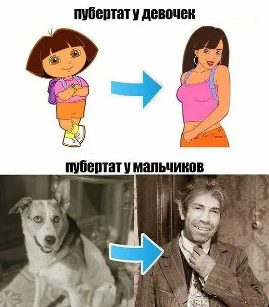 Мемы про девушек, мужчин и отношения