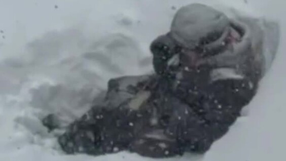 
        Ни&nbsp;метель, ни&nbsp;сугробы: пенсионерка откопала лавочку и&nbsp;продолжила &laquo;дежурство&raquo; во&nbsp;дворе    