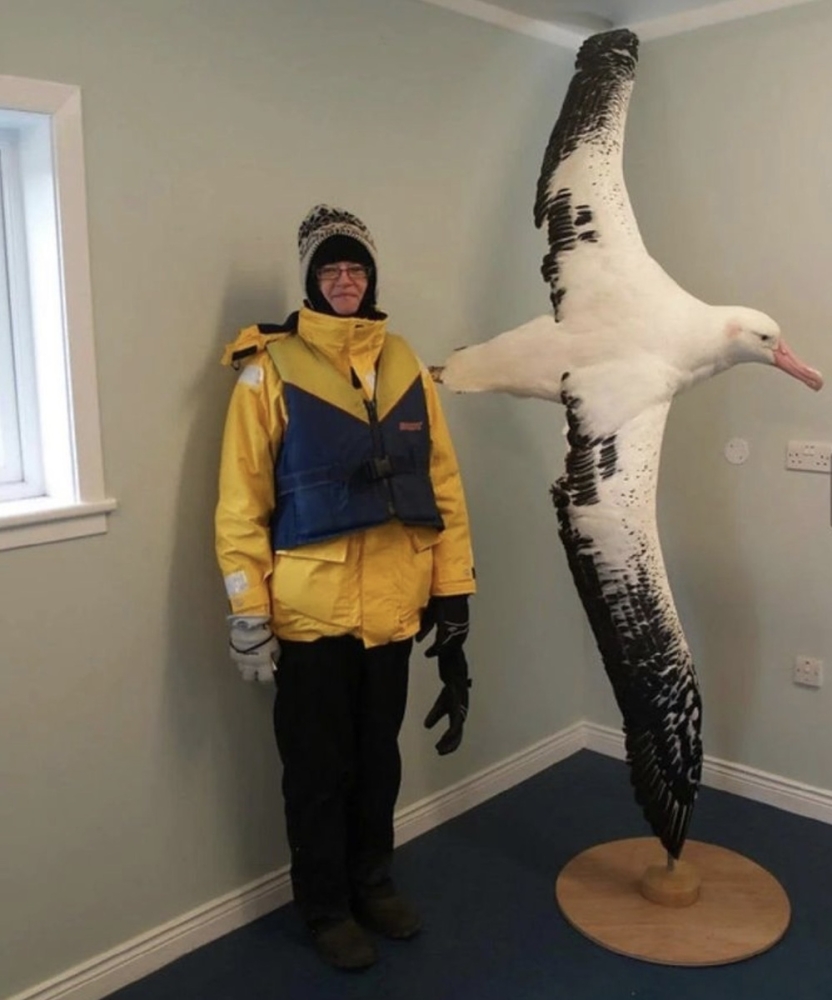 
        Реальные предметы и&nbsp;живых существ, впечатляющих своими огромными размерами    