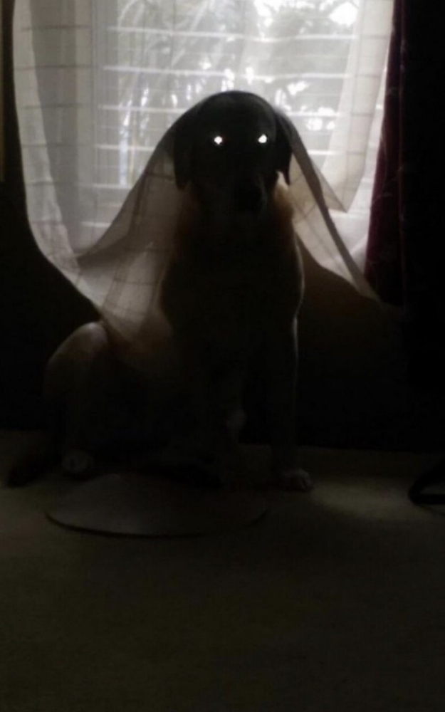 Подборка жутких фото (20 фото)