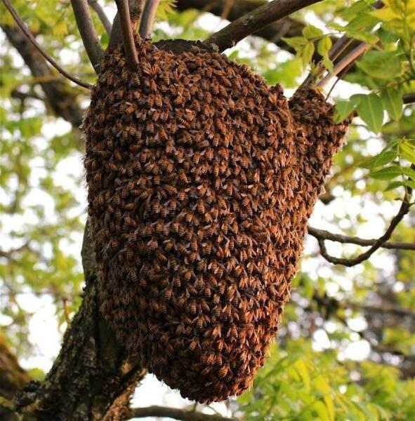 Подборка прикольных фото №3916