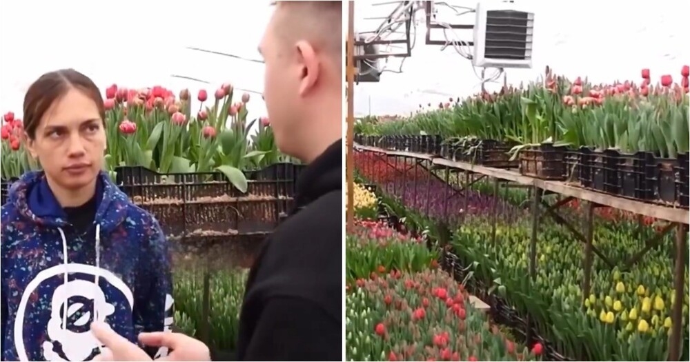 
        Девушка рассказала, сколько на&nbsp;самом деле стоит вырастить тюльпан    