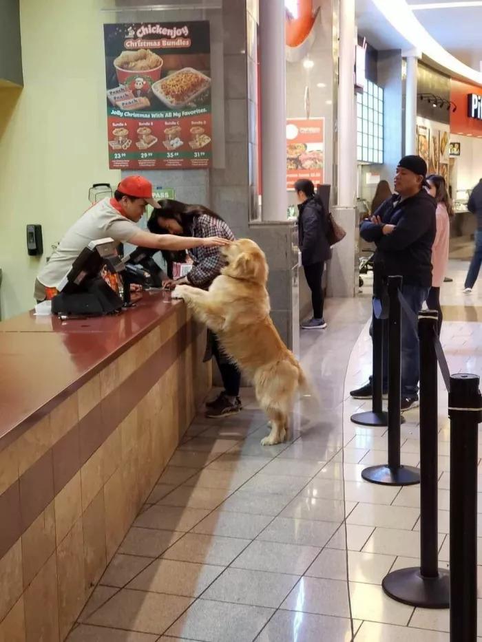 Подборка прикольных фото №3905