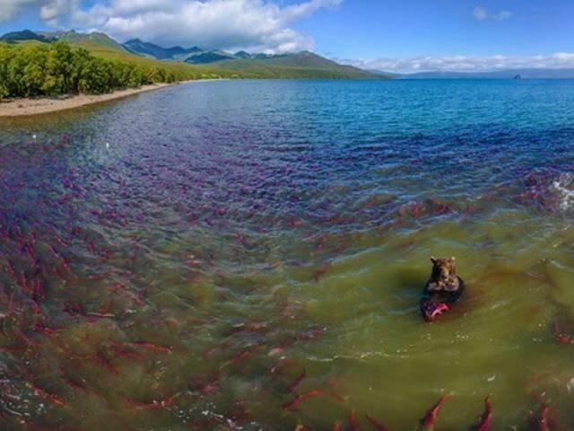 Подборка прикольных фото №3916