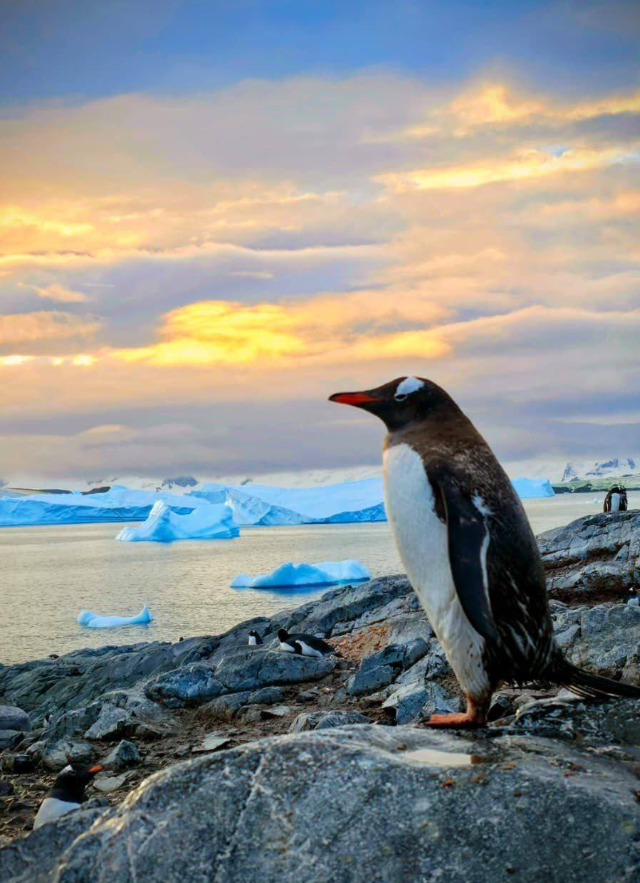 Фёдор Конюхов завершил 4‑месячную одиночную экспедицию в Антарктиде (7 фото + видео)