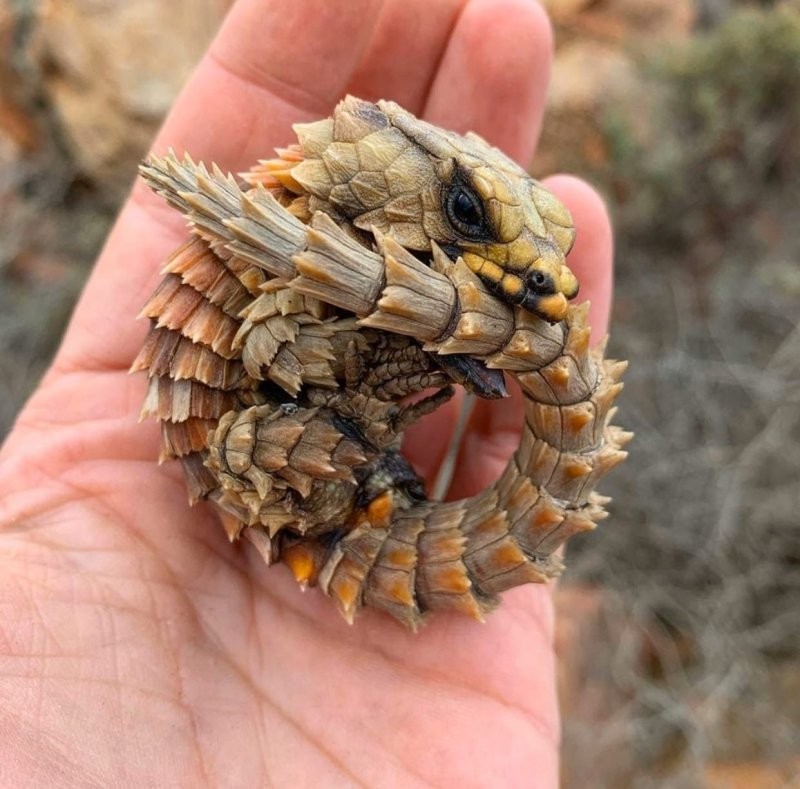 
        23&nbsp;веских причины заново влюбиться в&nbsp;эту&nbsp;планету    