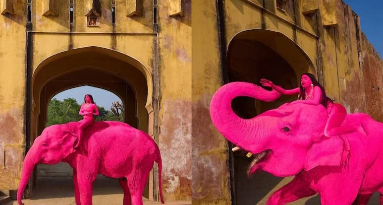 
        Девушка покрасила слона в&nbsp;розовый цвет и&nbsp;возмутила индусов    