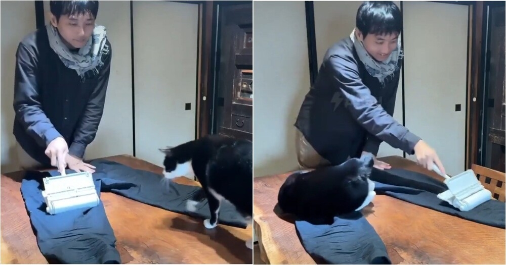 Без шерсти не выйдешь
Без шерсти не выйдешь