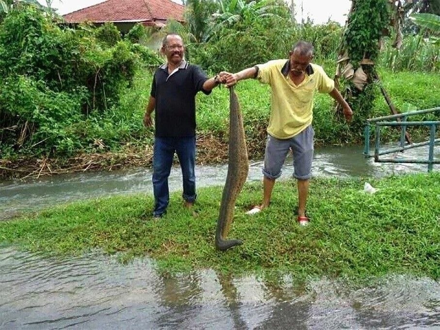 
        9&nbsp;реально странных фотографий дикой природы    