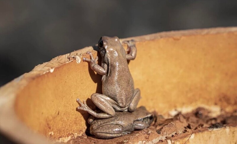 25 фотографий, после просмотра которых захочется купить палатку и уехать в лес
25 фотографий, после просмотра которых захочется купить палатку и уехать в лес