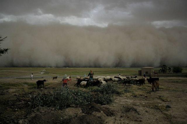 Подборка прикольных фото №3907