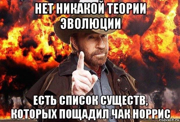 Лучшие мемы про Чака Норриса: главная подборка к смерти легенды