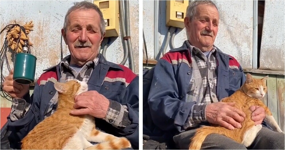 
        Маленькое тихое счастье    