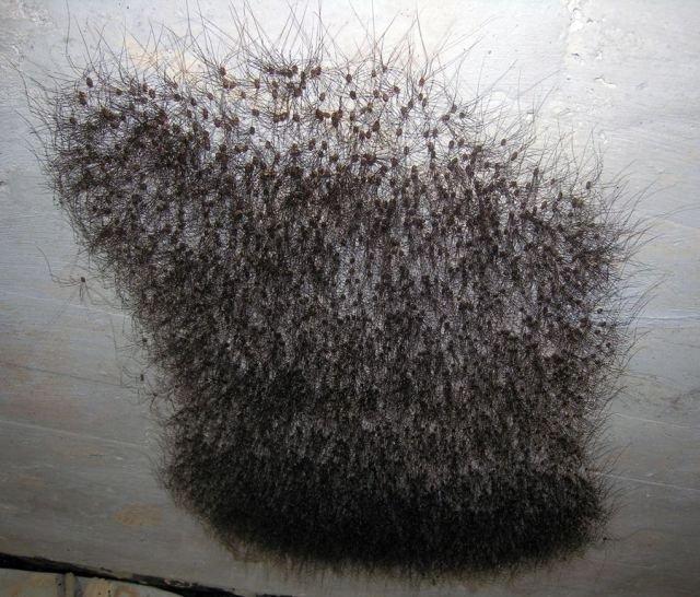 Подборка прикольных фото №3909